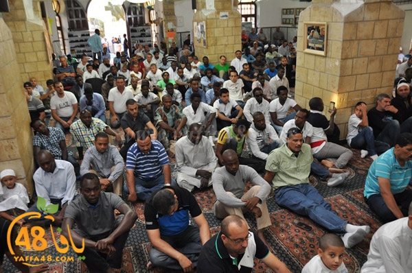 salah 3eed 7sanbejk (60).JPG